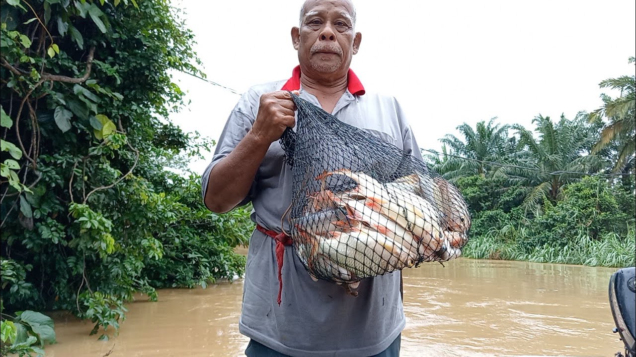 HUJAN2 TETAP TURUN CARI REZEKI.. Air sungai naik lagi.. #srift #slimriver 