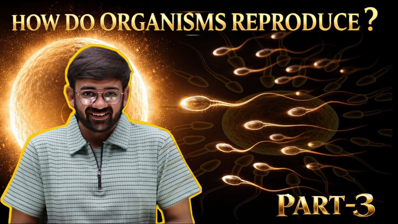 How do Organisms Reproduce – Part 3 | Human Reproduction | Class 10 Biology | Concept Capsule