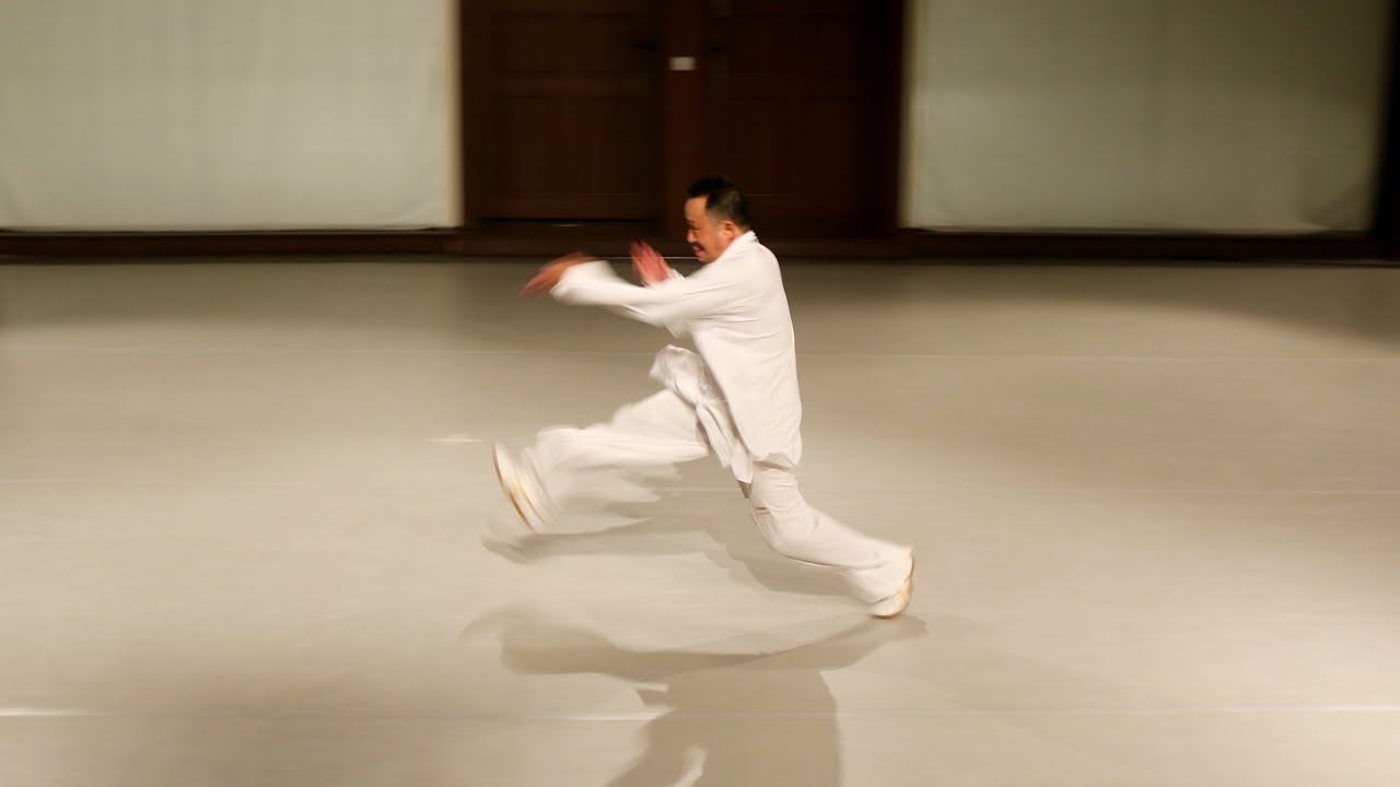Sha Wushu Werkschau Tai Chi Schule G&ouml;ttingen