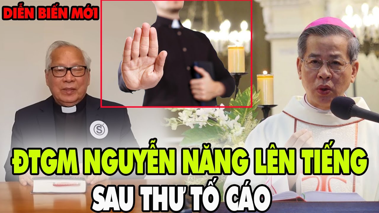Thư Tố Giáo Sĩ Trị Vừa Gửi, ĐTGM Nguyễn Năng Lập Tức Phản Hồi
