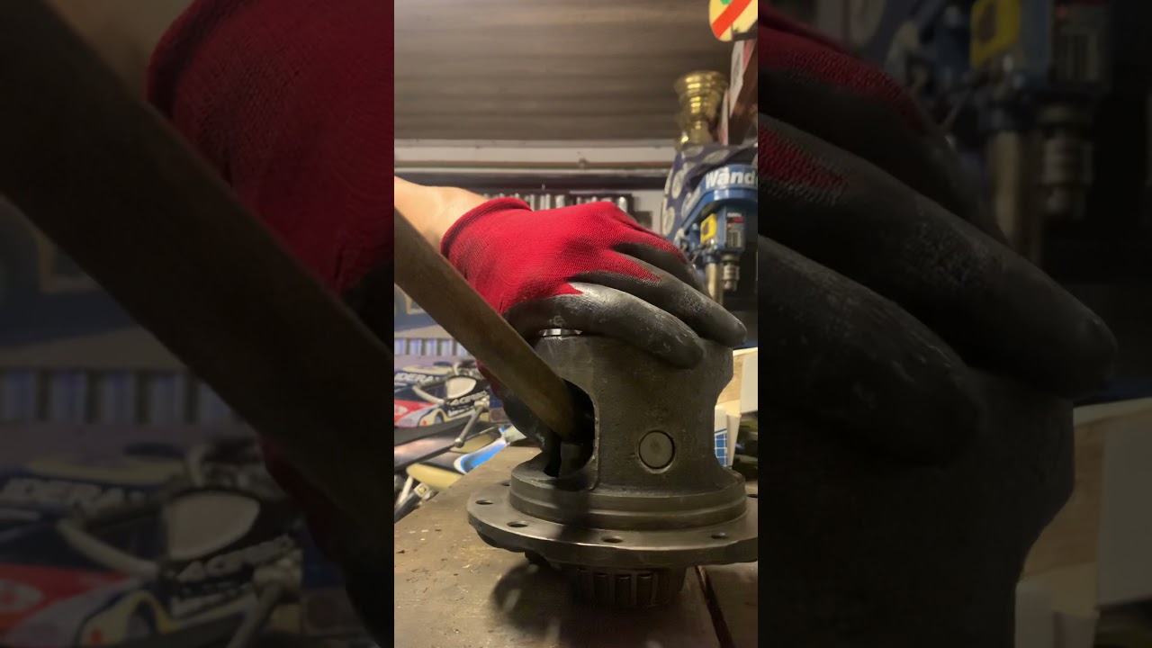 Armado núcleo dana 44 c/autoblocante