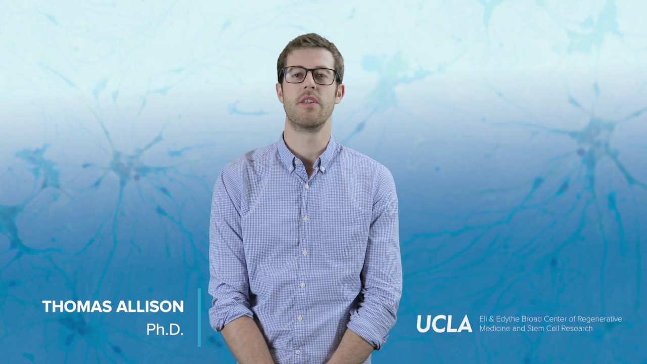 Developing mature neurons from stem cells to study neurological diseases | Thomas Allison, Ph.D.