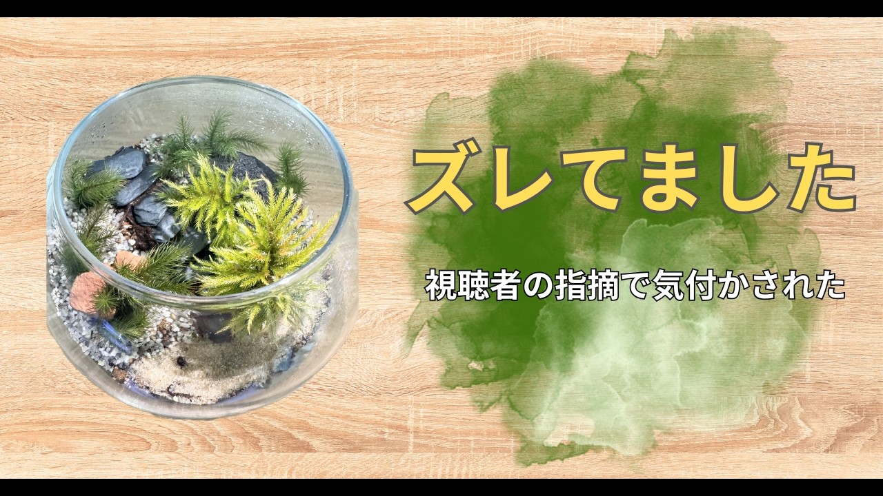 「苔テラリウム制作が難しい…はずが、話がズレていた話」