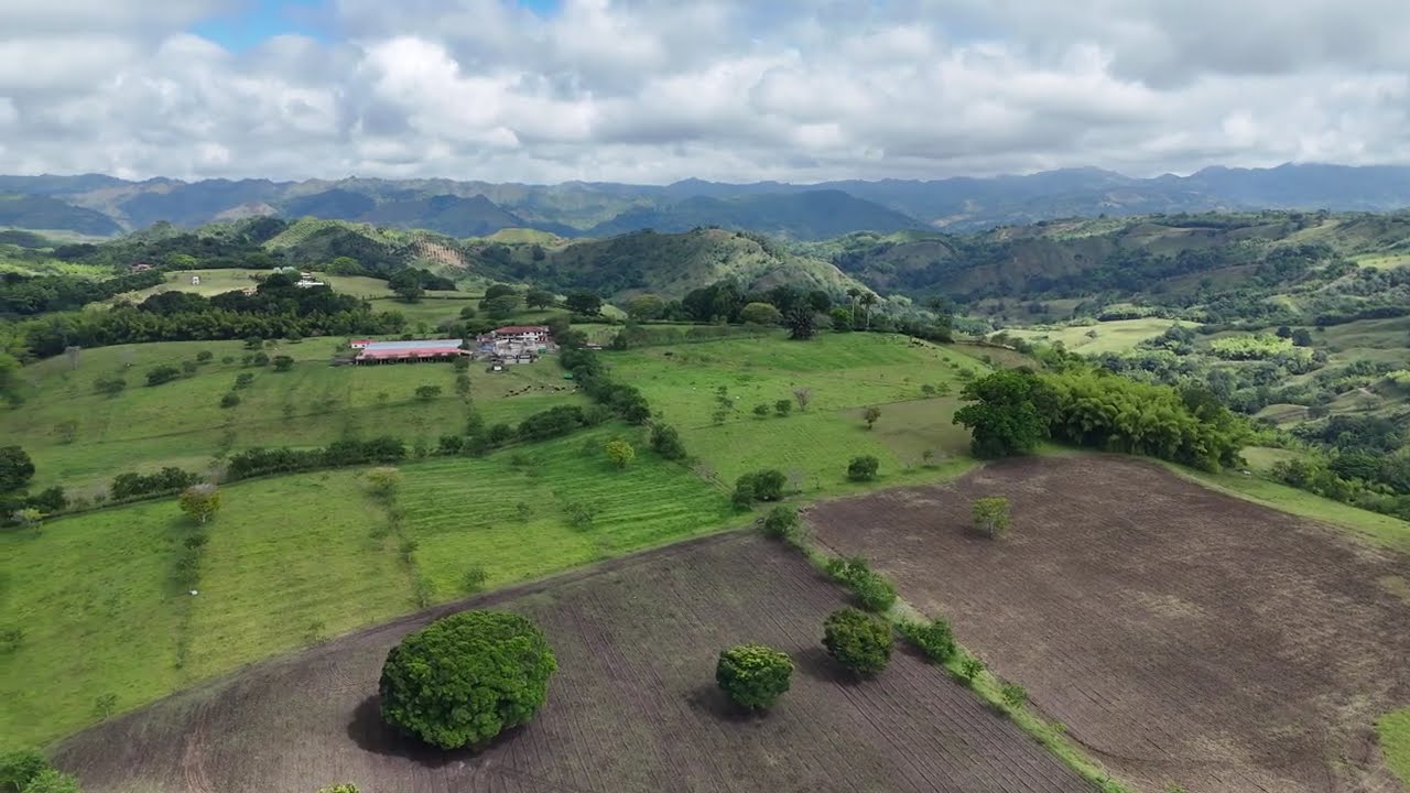 Stunning Aerial Views of La Tebaida, Armenia 🇨🇴 | Drone Tour Over Coffee Farm