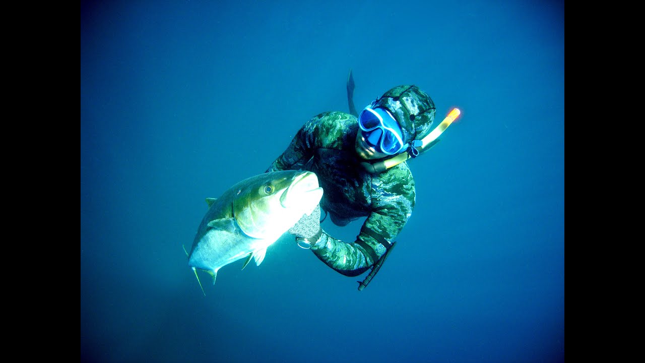 YT - Spearfishing Yellowtail
