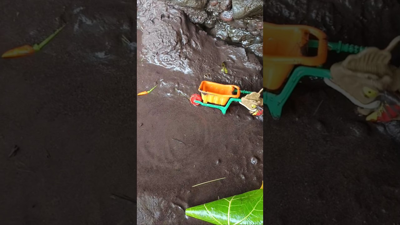 catching snakehead fish on live bait,livebait- SNAKEHEAD FISH 