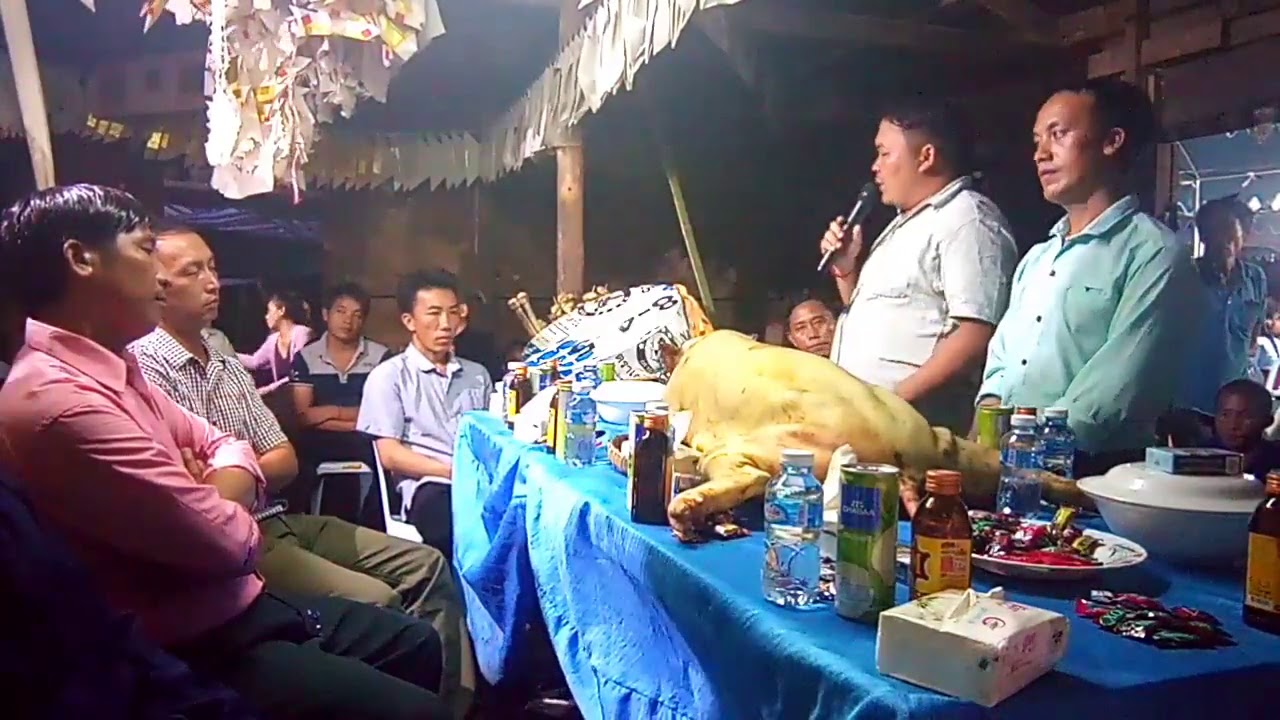 ibsag txiv xaiv txheeb qhua