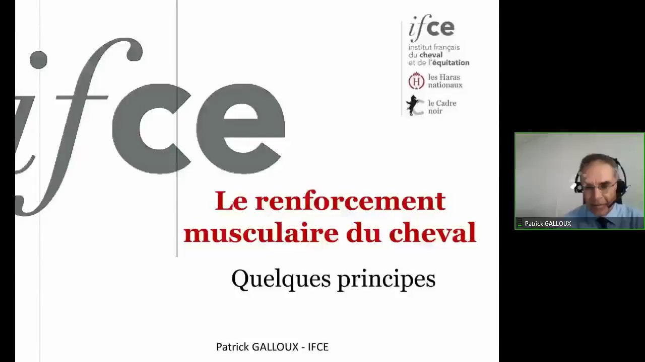 P. Galloux - Développer la musculature de son cheval : quelques règles