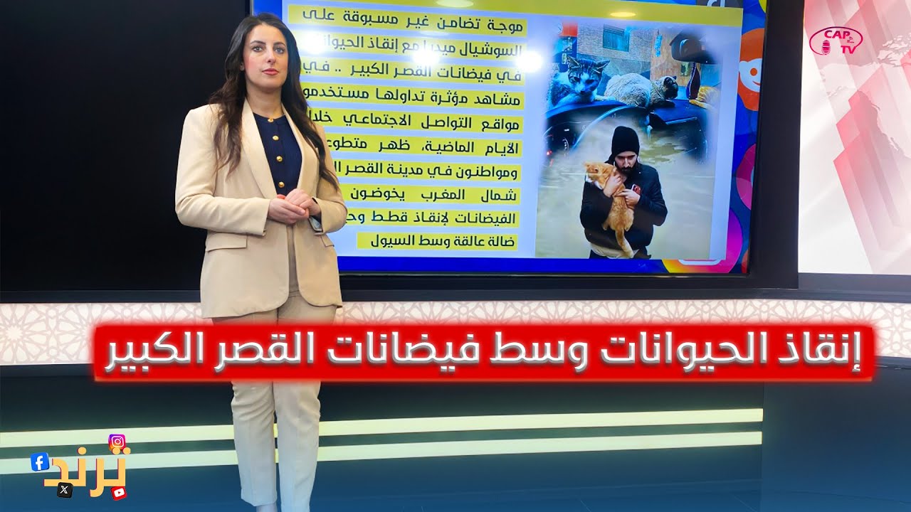 ترند ... إنقاذ الحيوانات وسط فيضانات القصر الكبير