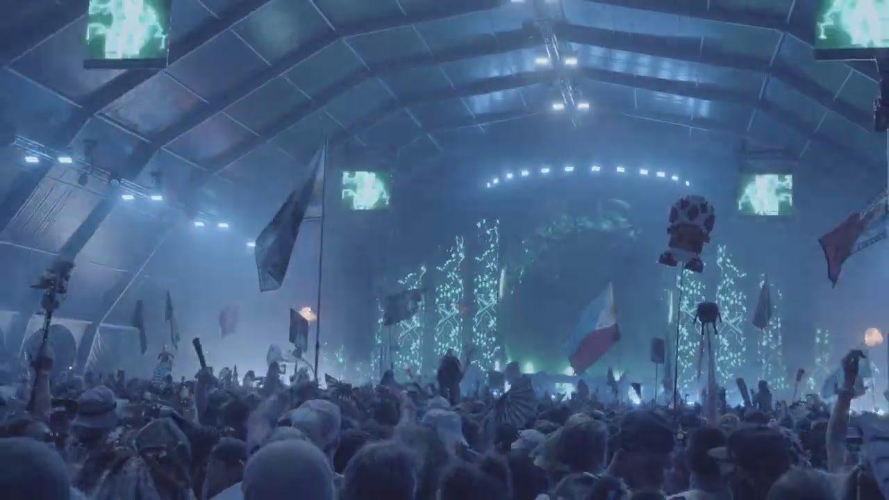 Laser Light Company: In the Crowd at Forbidden Kingdom 2025