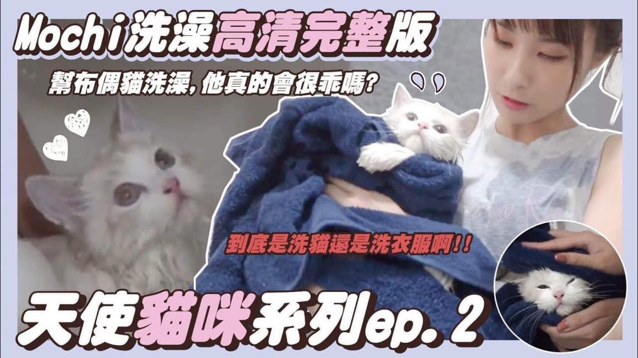 幫布偶貓洗澡，他真的會很乖嗎?到底是洗貓還是洗衣服阿!!｜Mochi洗澡高清完整版｜泥泥汝