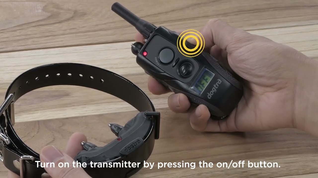 E-Collar How To | Dogtra ARC HANDSFREE Overview