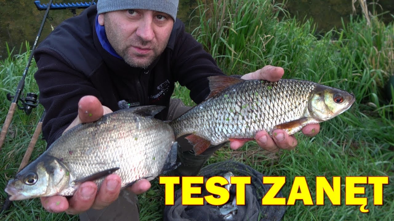 TEST ZANĘT. JESIEŃ - NAJLEPSZA PORA NA WĘDKOWANIE