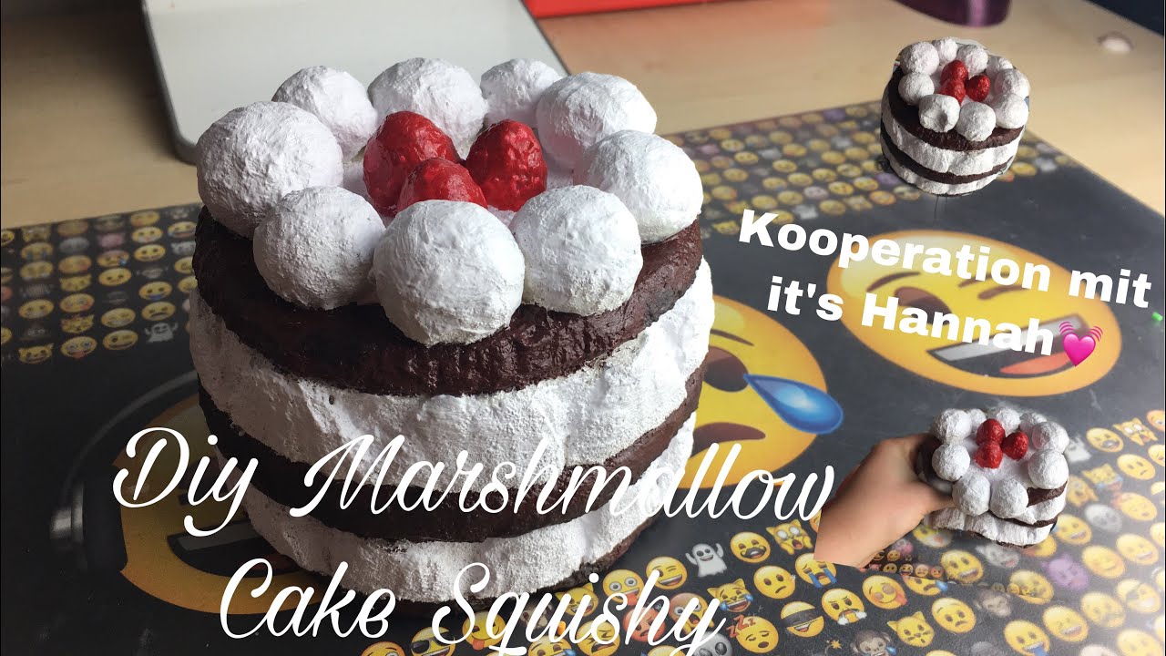 DIY Homemade Marshmallow Cake Squishy🎂Kooperation mit it‘s Hannah❤️/LeonieKawai Xoxo
