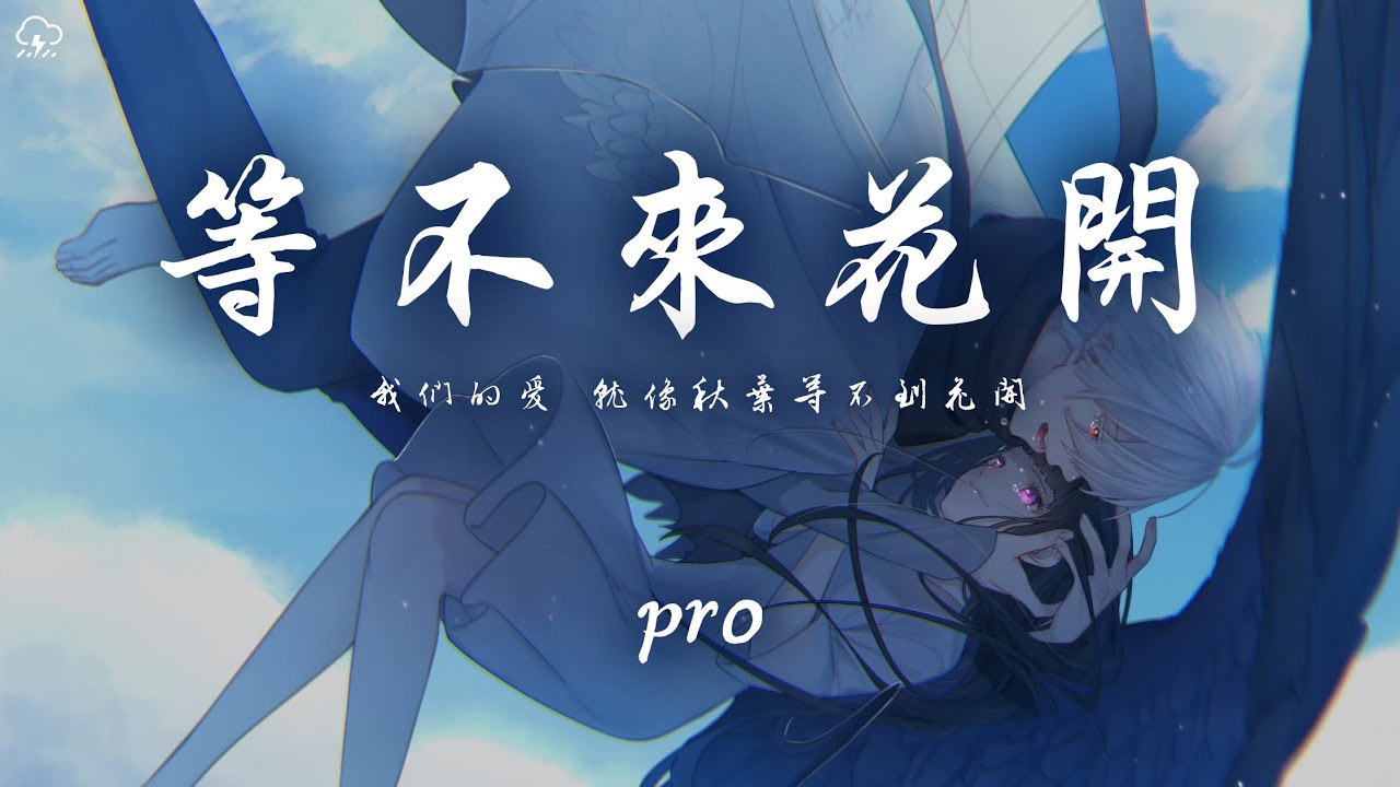 pro - 等不來花開「我們的愛 就像秋葉等不到花開」【動態歌詞/PinyinLyrics】♪