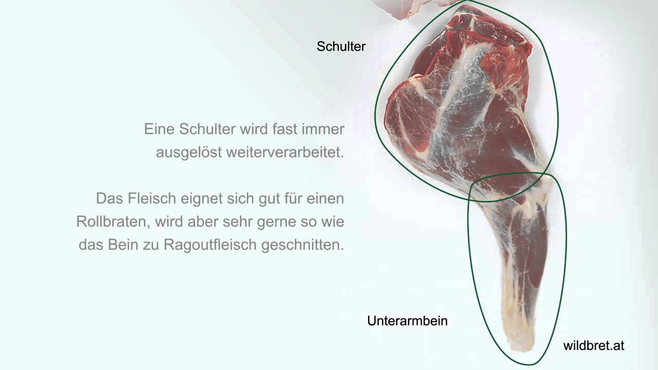 Zerwirken Rehwild: Schultern und Seitenteile