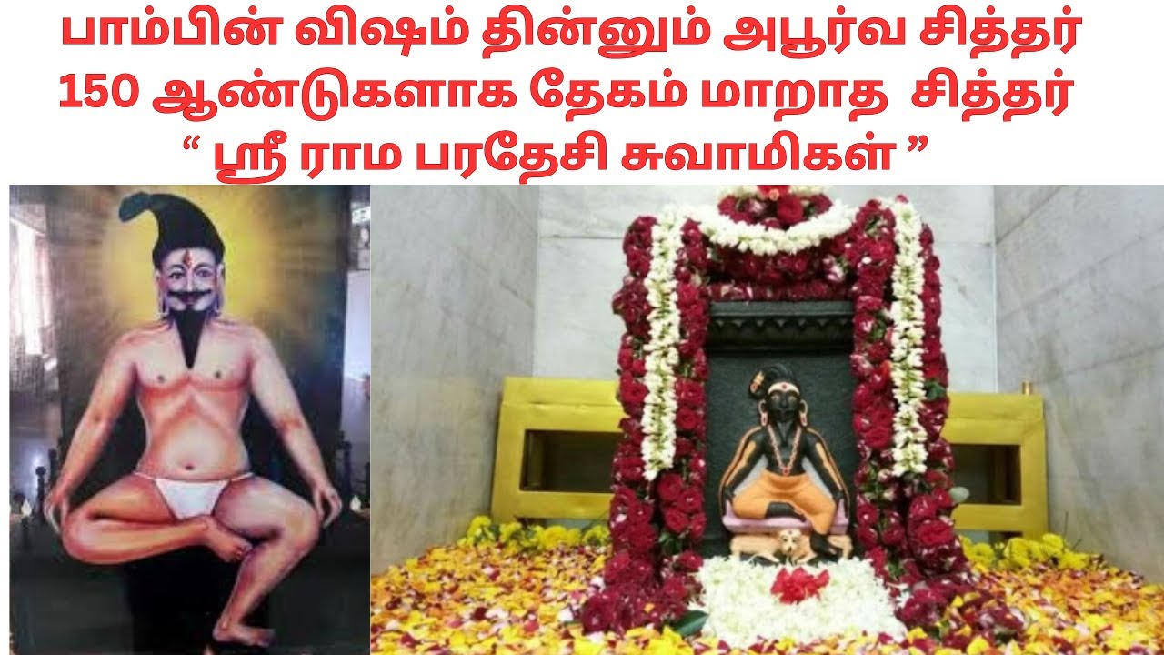 ஸ்ரீ ராம பரதேசி சுவாமிகள் |Ram Paradesi Swamigal | Pondicherry|Jeevasamadhi|Sitthar|Tamil|VIYASAR|
