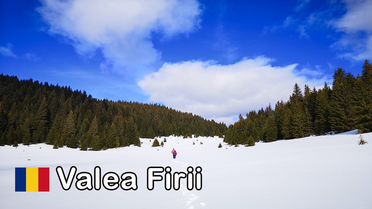 Traseu de iarna pe Valea Firii - Pestera Humpleu, Pestera Sura Mare, Pestera Ghetarul Vartop(Margau)