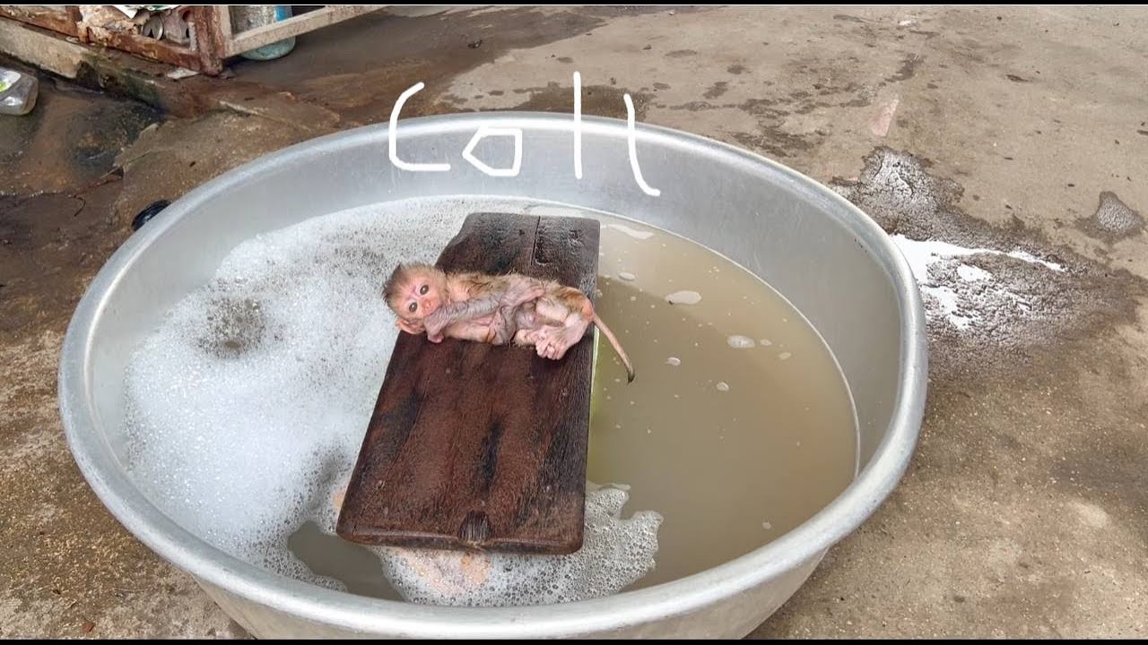 Miserrible Bb Jazzy so Co0l shiervering  when Mom take Evning Bath.