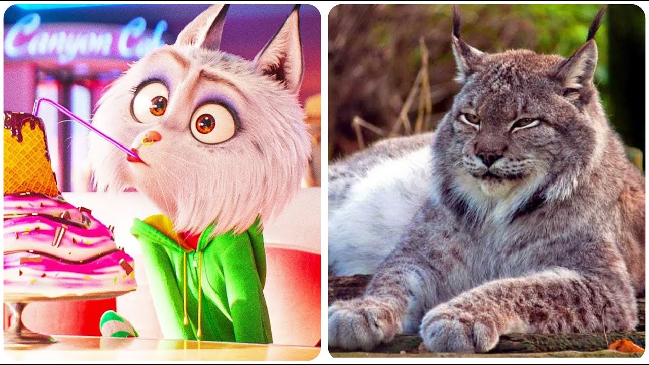 sing 2 in real life ♥️ Sing 2 character in real life