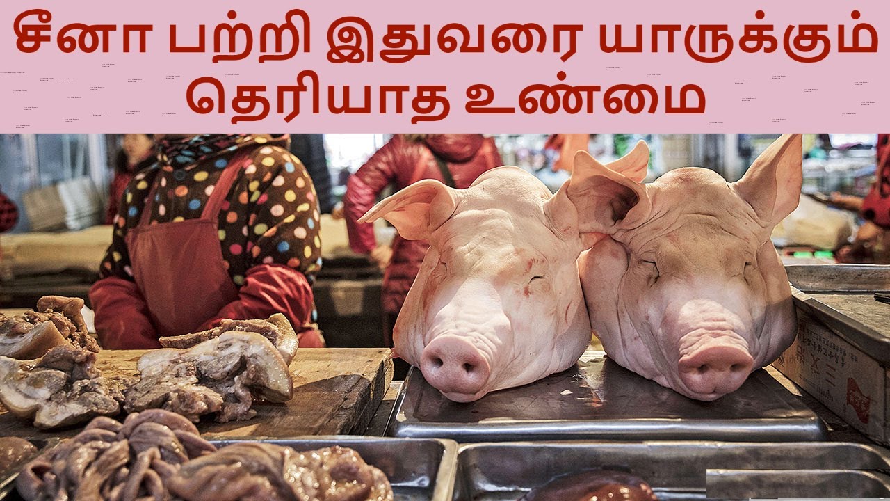Chinese food history and culture in Tamil #Chinesefood #China