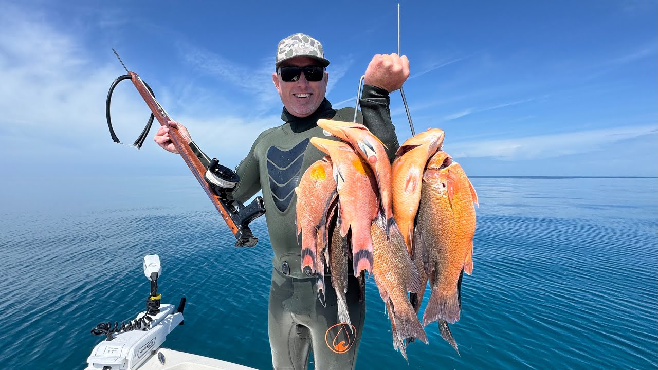 Подводная охота на окуня и морского черта (поймал, почистил и приготовил). Рыбы было больше, чем ...