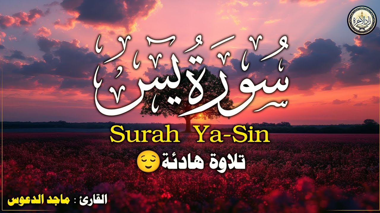 سورة يس – قراءة تريح النفس وتطمئن القلب | بث مباشر