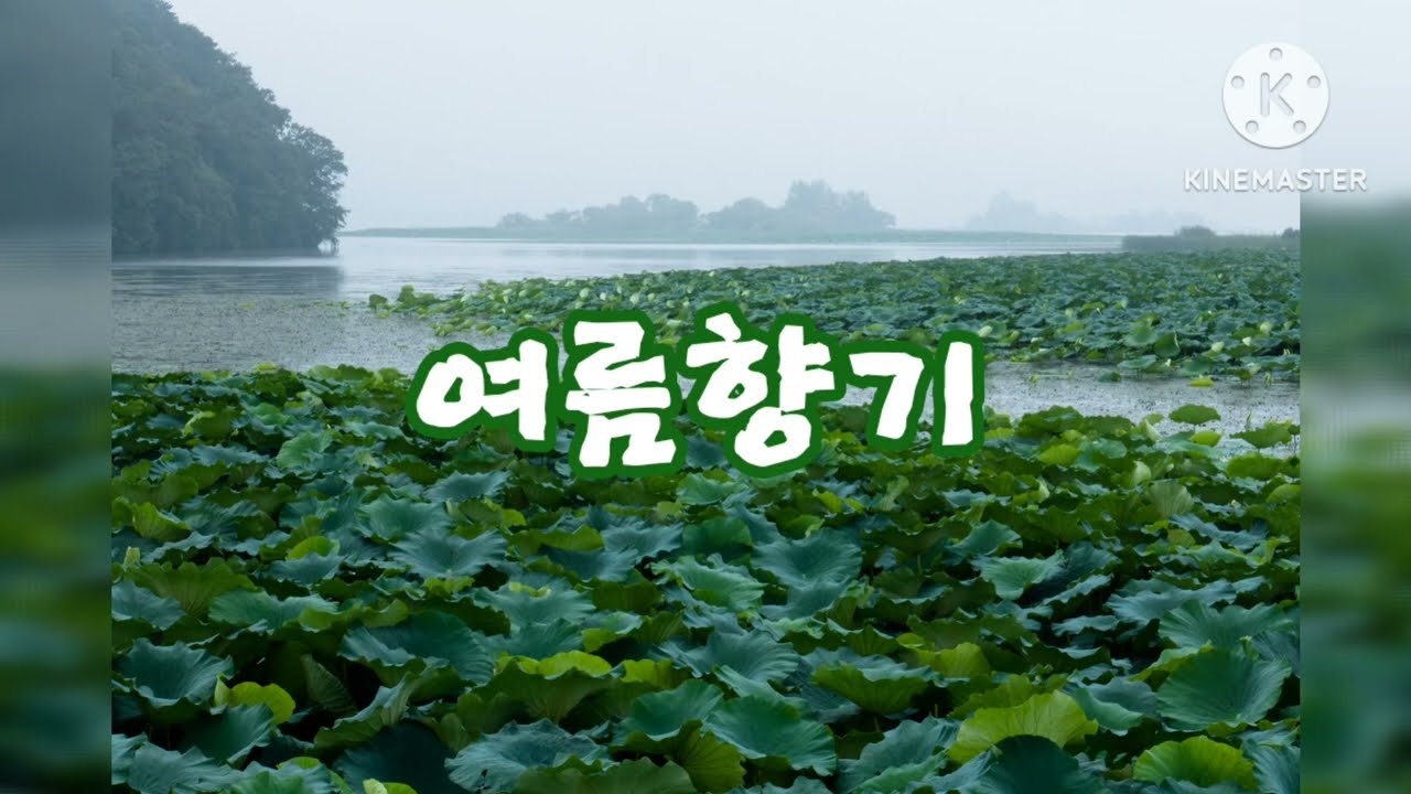 여름향기