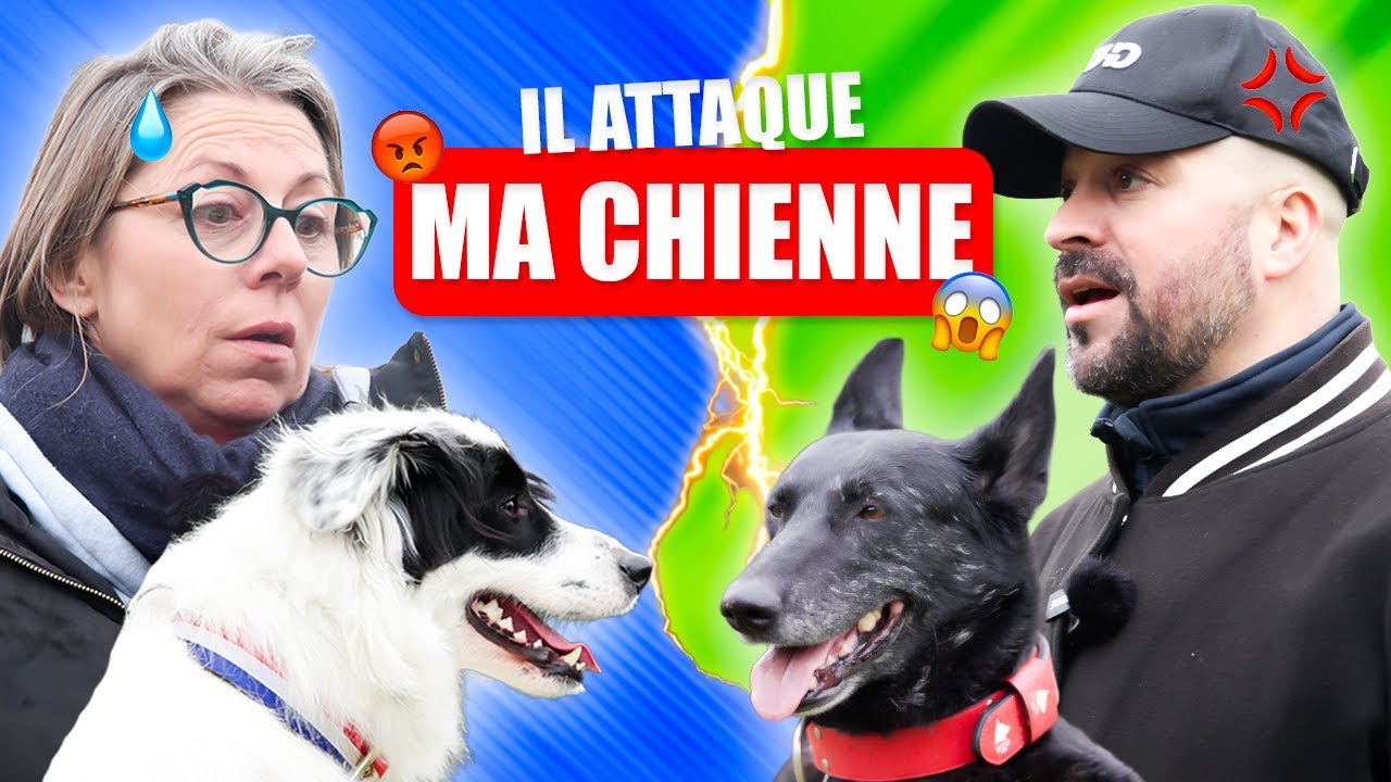 CE CHIEN DEVIENT INCONTROLABLE