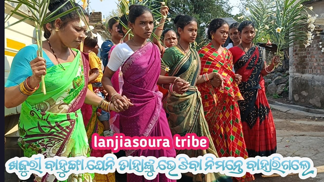 Lanjia soura tribe dence video ||ଖଜୁରୀ ବାହୁଙ୍ଗା ଘେନି ତାହାଙ୍କୁ ଭେଟିବା ନିମନ୍ତେ ବାହାରିଲେ || sorawood||