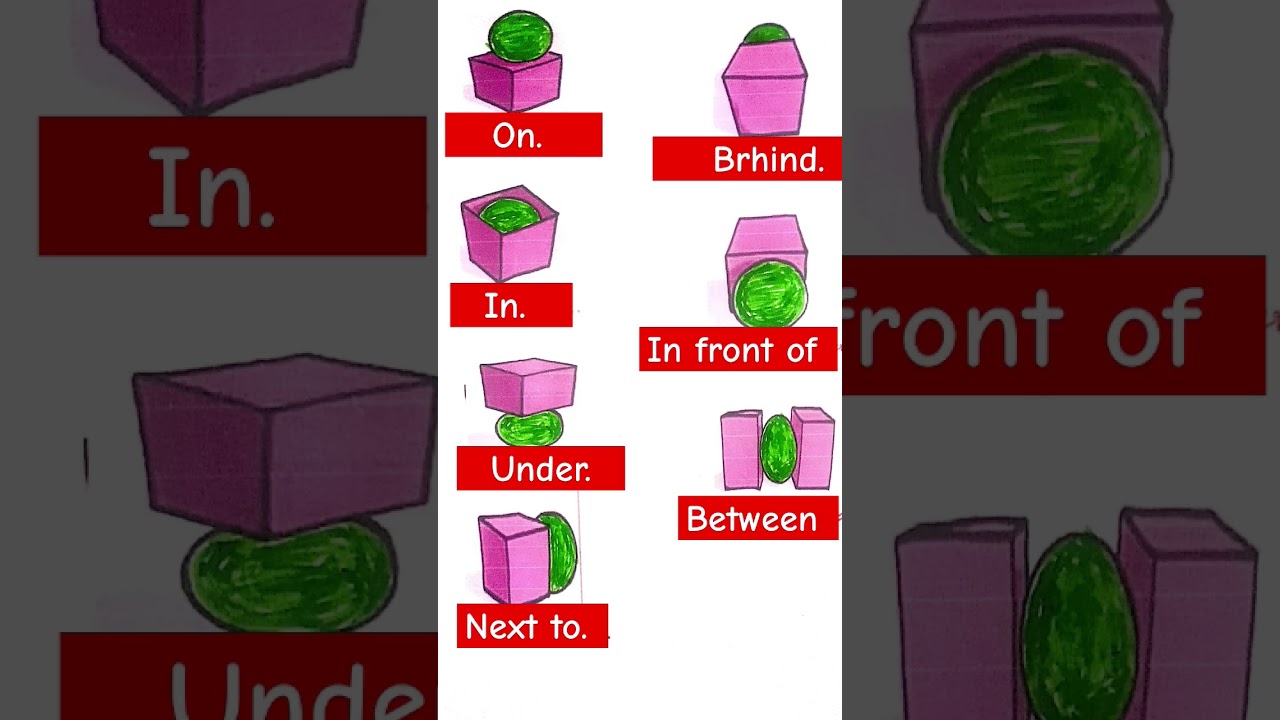 Preposition - on/ behind/ in/in front of/ under/ between/ next to /  💯✅ 