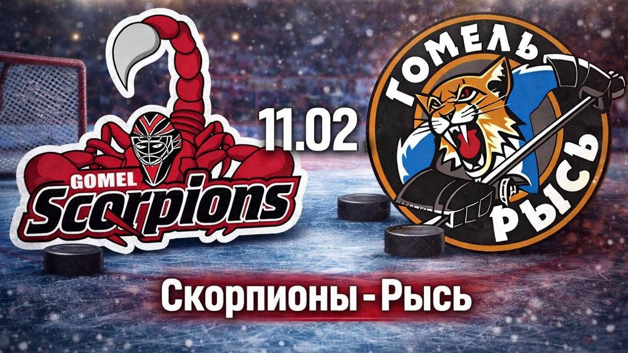 Чемпионат ЛХЛ. ХК Скорпионс - ХК Рысь