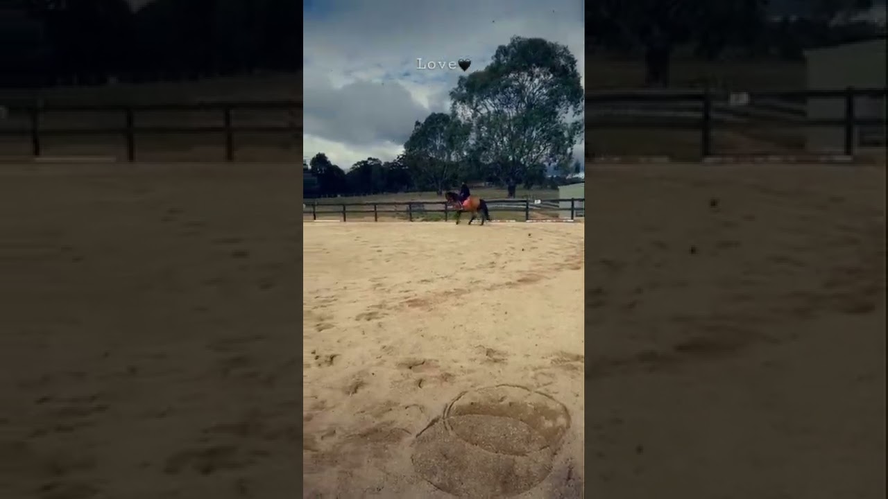 My Spanish horse “Maxi” 💕