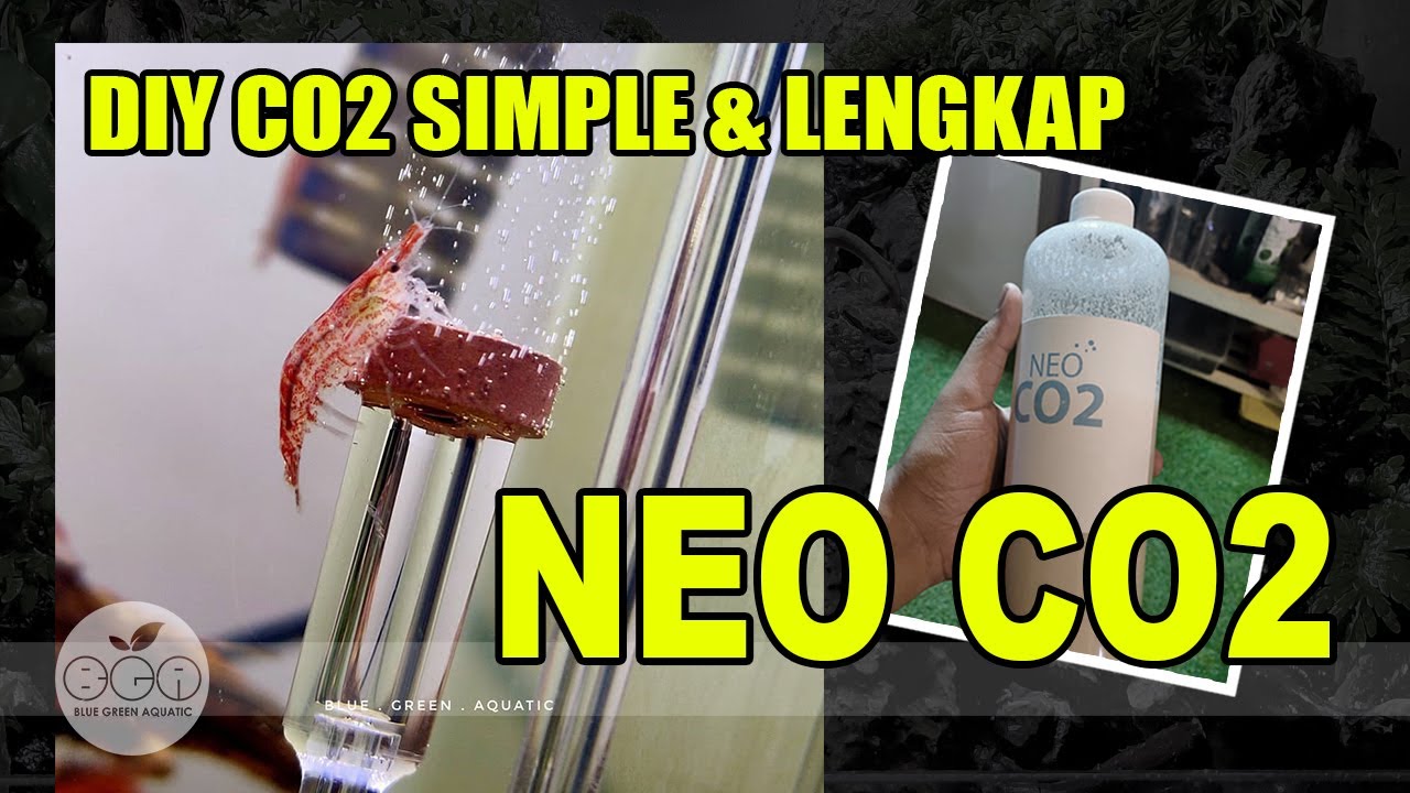 #20 - NEO CO2 by AQUARIO | Simple dan Lengkap