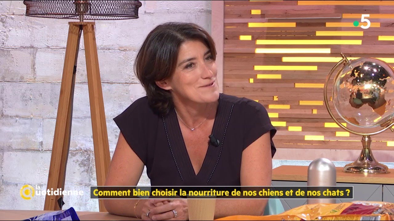 Comment bien choisir la nourriture de nos chiens et de nos chats ? - La Quotidienne