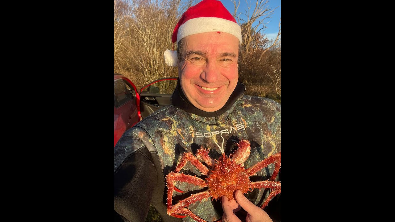 Dykking etter kamskjell og  trollkrabbe før Jul . Merry Christmas!