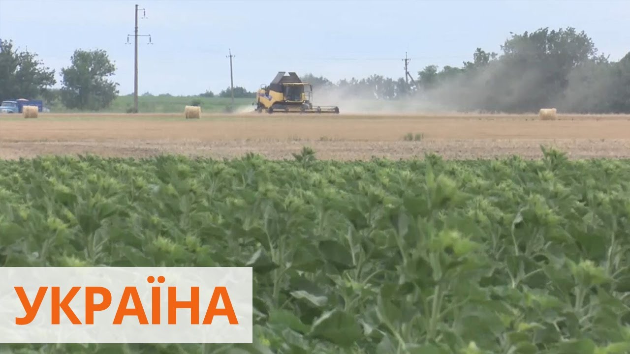 Держат на крючке: пайщики не могут разорвать договоры с агрофирмой на Николаевщине