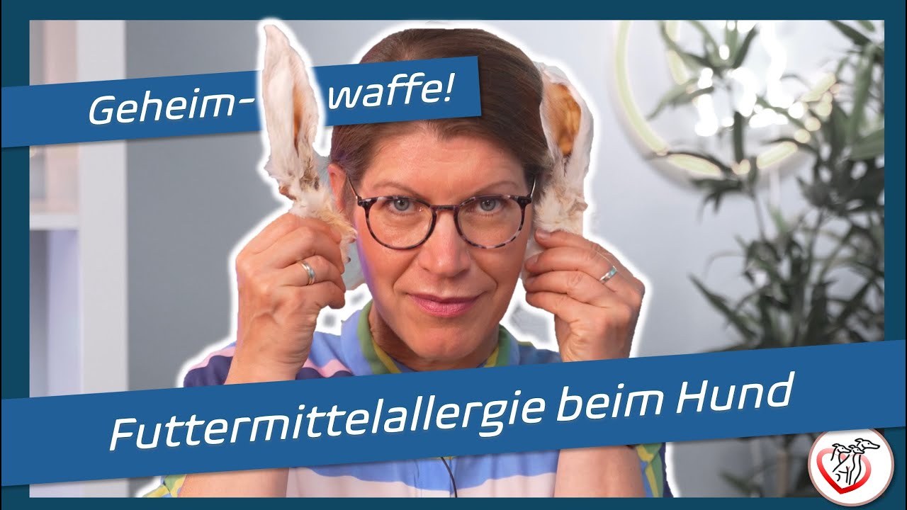 Futtermittelallergie beim Hund: Was Hasenöhrchen mit Prävention zu tun haben