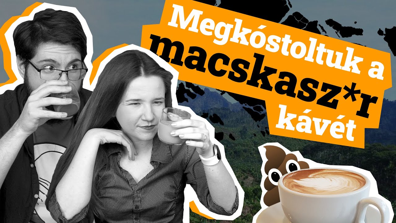 Megkóstoltuk a macska💩 kávét | Megkóstoljuk Szingapúrt #1