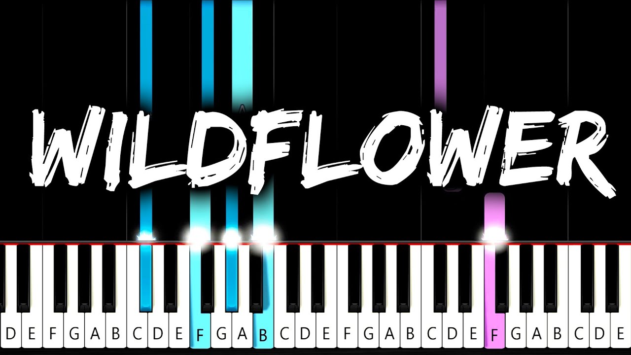 Billie Eilish - WILDFLOWER - Piano Tutorial