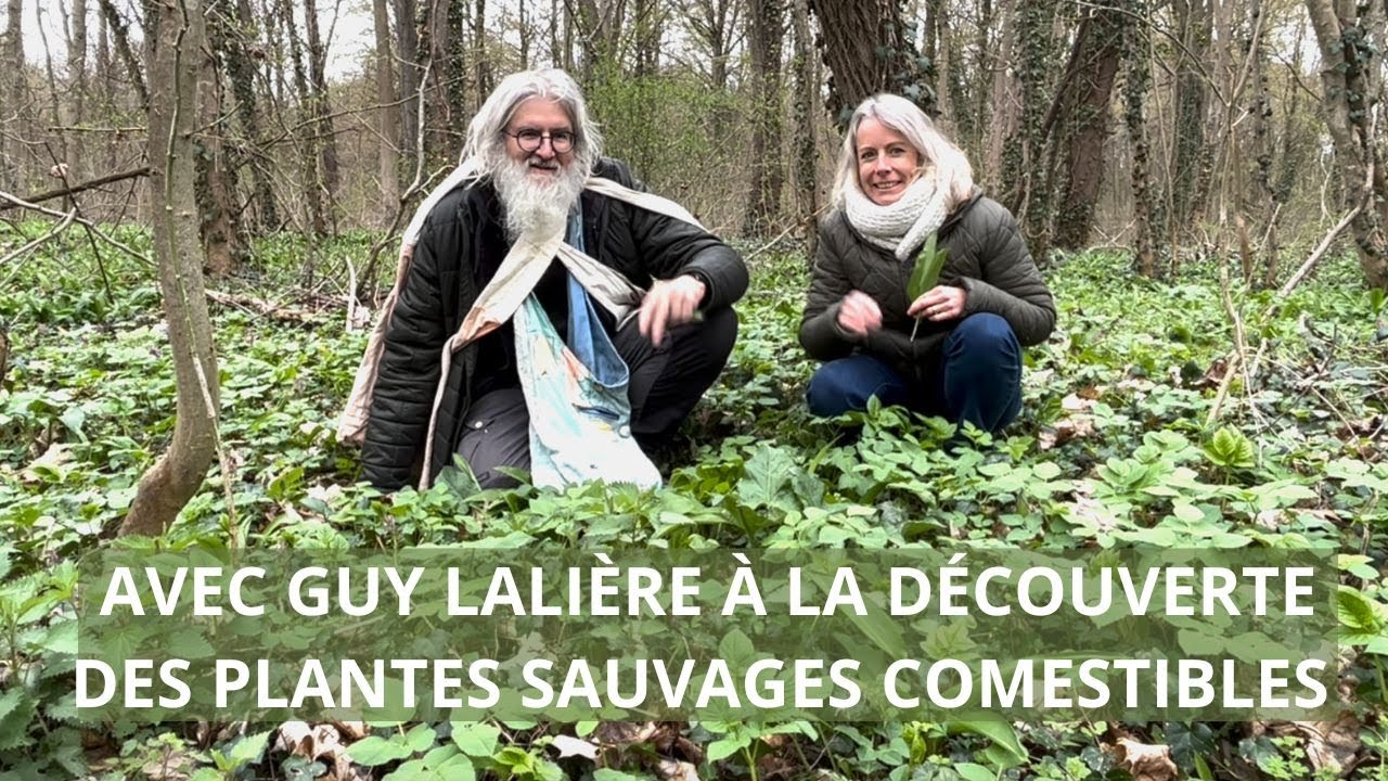 Avec Guy Lalière à la découverte des plantes sauvages comestibles