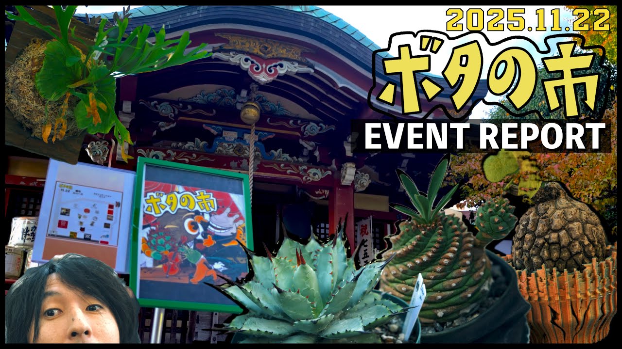 【#ボタの市 11.22 】趣味家の趣味家による趣味家のためのイベント、ボタの市イベントレポート｜アガベ｜塊根植物｜植物イベント｜フリーマーケット｜