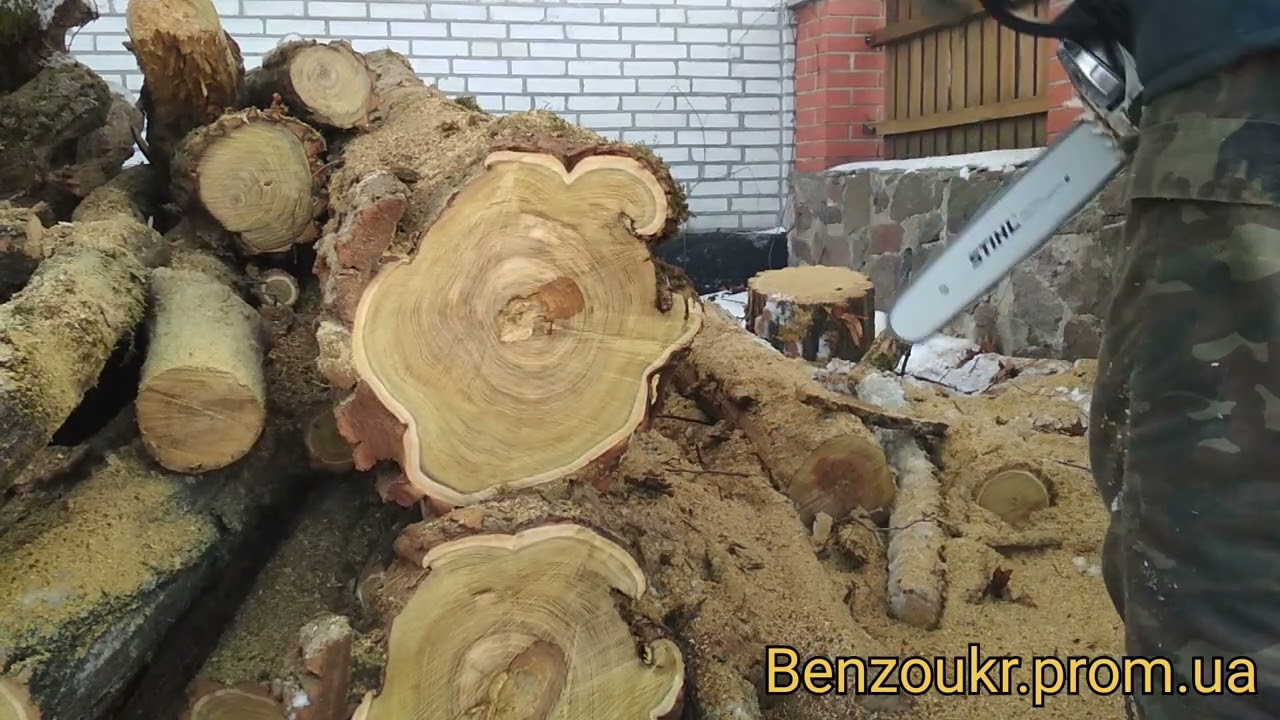 Zomax ZMC5601 vs STIHL MS 251