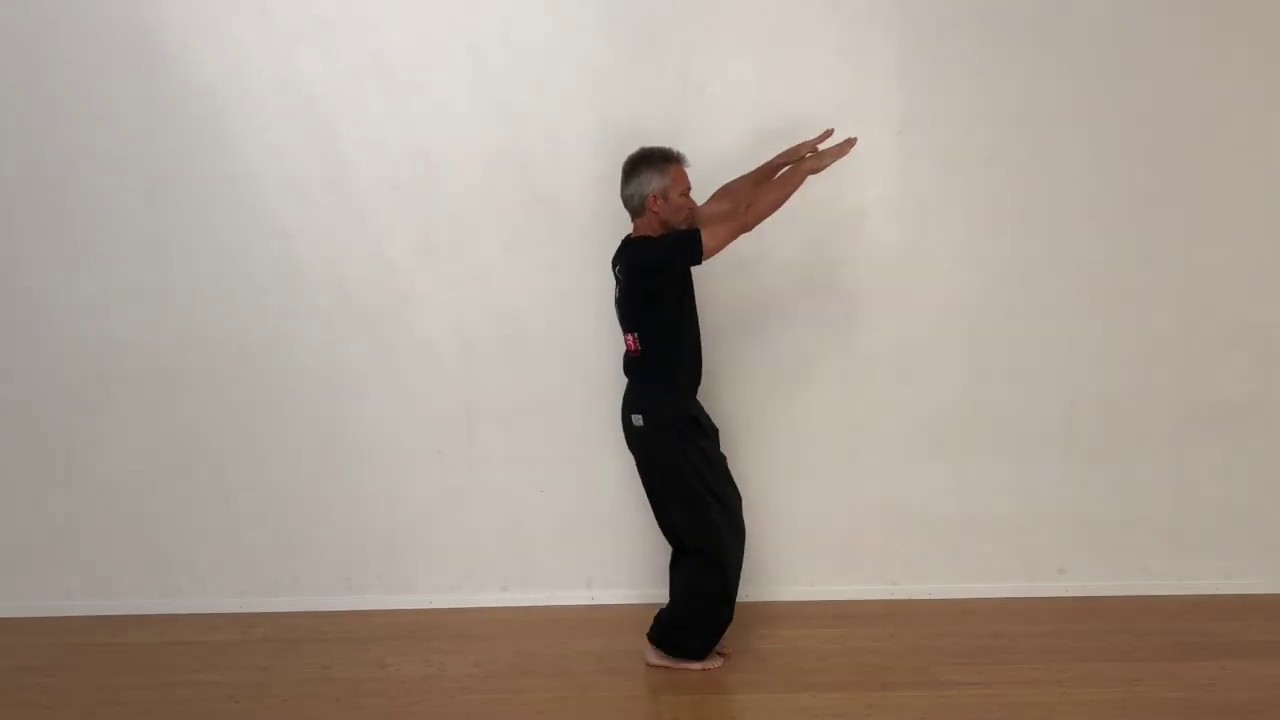 WULIN Kung Fu - 3. Form - Biao Zhi