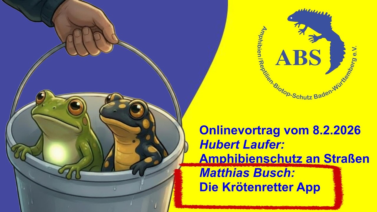 ABS Online Vortrag 08.02.2026 Die „Krötenretter‑App“  Referent: Matthias Busch