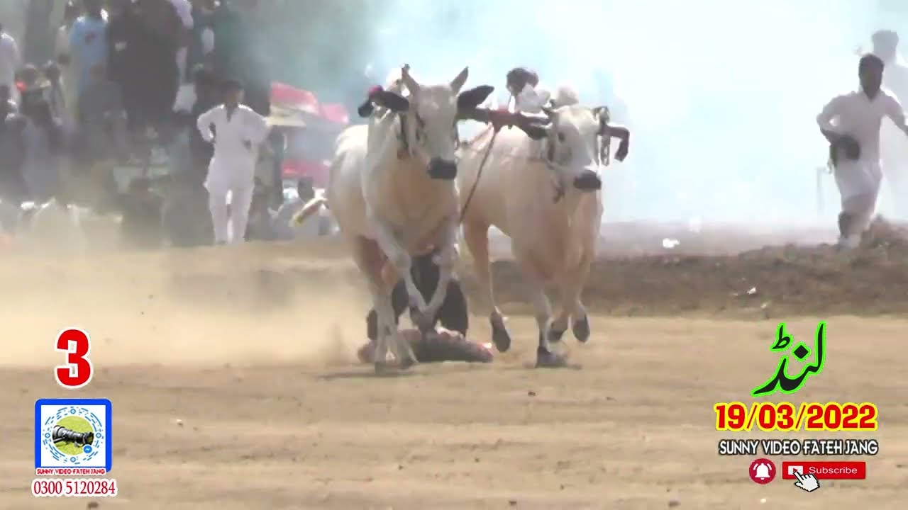 BullRrace In Pakistan (Lund )19 03 2022 NO3
