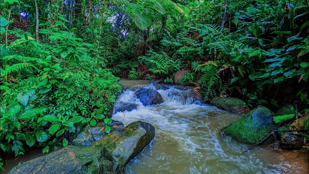 Flowing River Sounds for Sleep & Relaxation (10 Minutes)