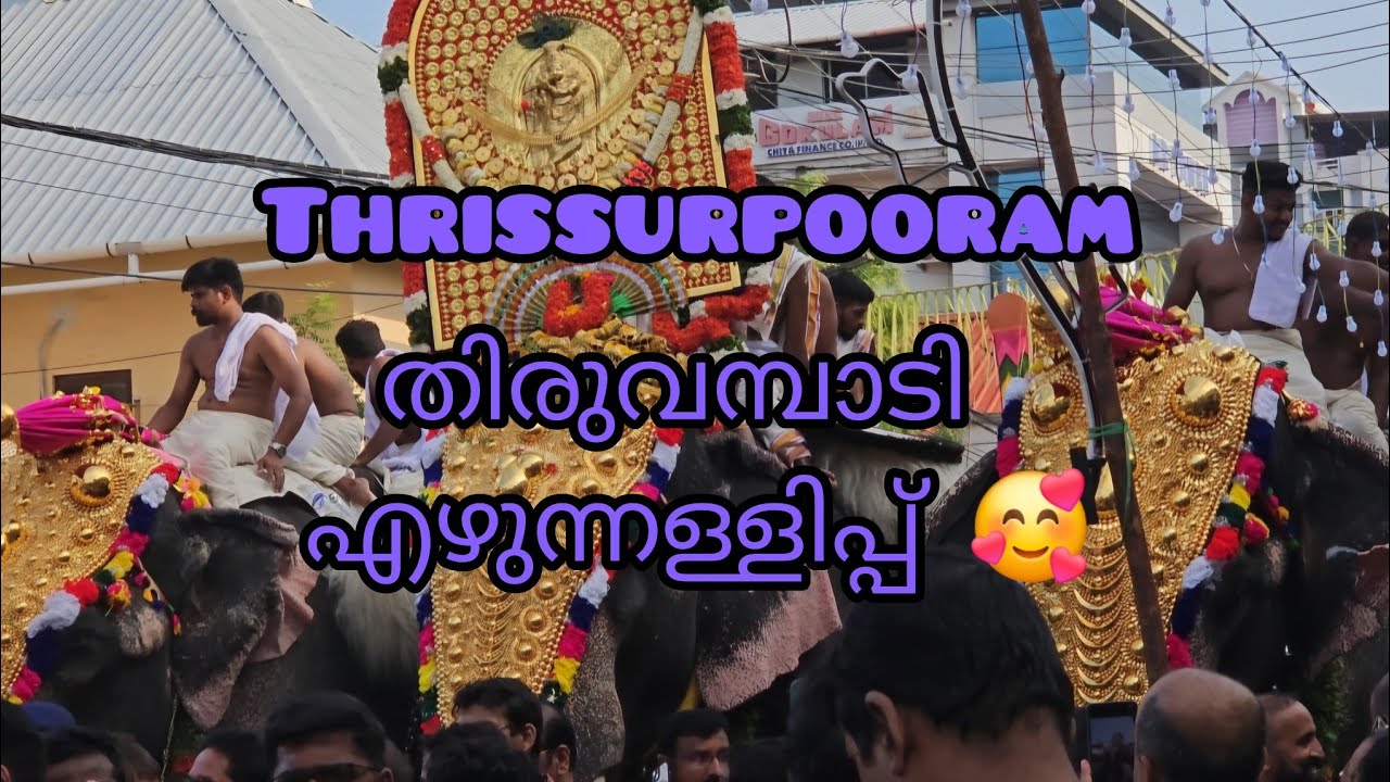തൃശൂർപ്പൂരം തിരുവമ്പാടി എഴുന്നള്ളിപ്പ് 🙏🥰 | Thrissurpooram | 2025 | fyp  #thrissurpooram #aanapremi