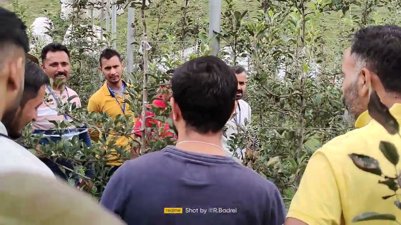 Sonu Jhamta Orchard Spail Valley Rohru