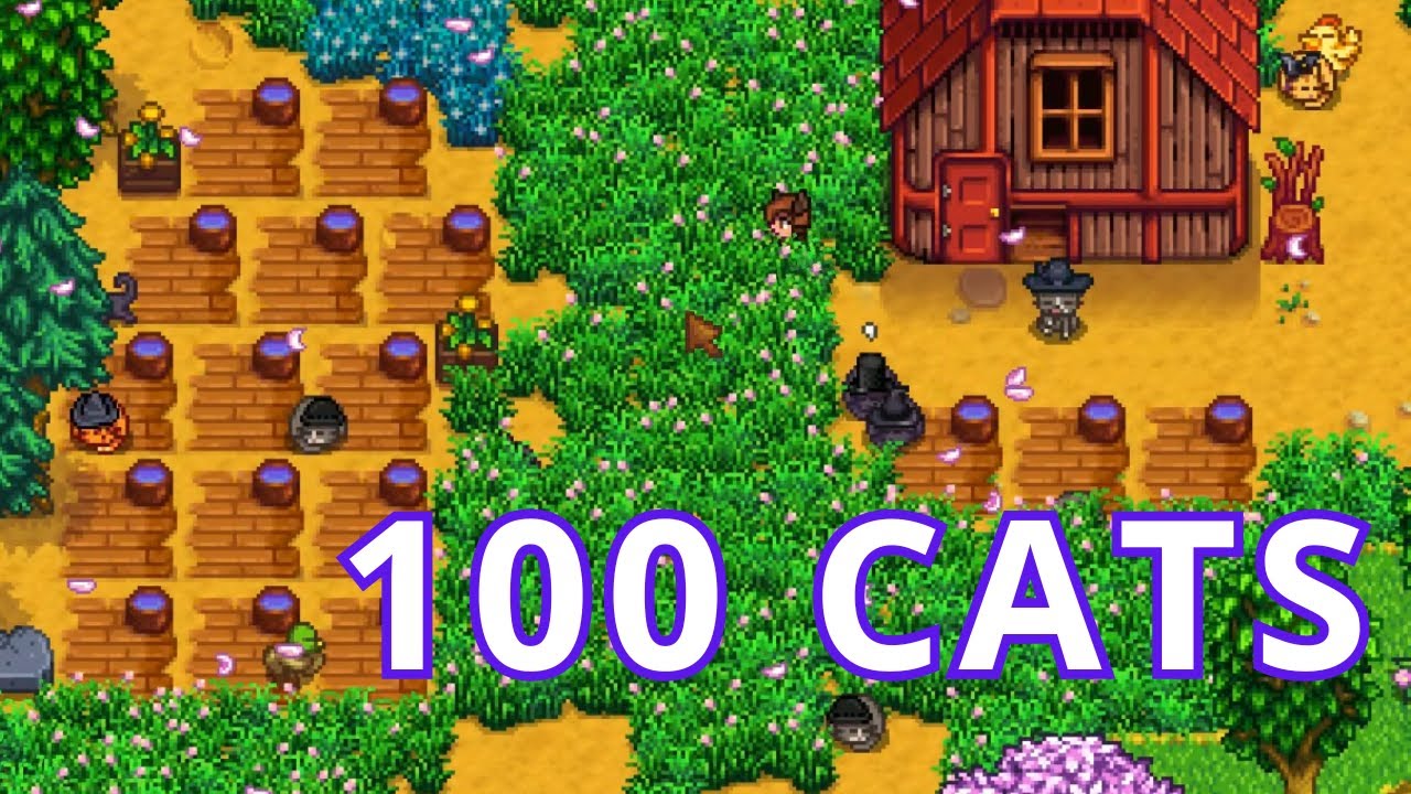 Экскурсия по ферме со 100 кошками.
